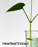 Anua Heartleaf Pore Control Cleansing Oil - Palace Beauty