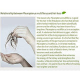 HASUO Phytoncide Scalp Shampoo 750ml/25.3fl.oz - Palace Beauty