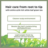 [AMOS] Professional The Green Tea Hair&Scalp Pack (250ml/8.4fl.oz) - Palace Beauty