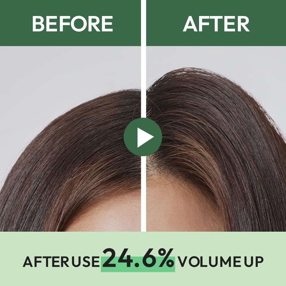 [AMOS] PROFESSIONAL The Green Tea Shampoo (500ml/16.9fl.oz) - Palace Beauty
