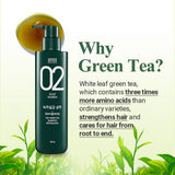 [AMOS] PROFESSIONAL The Green Tea Shampoo (500ml/16.9fl.oz) - Palace Beauty