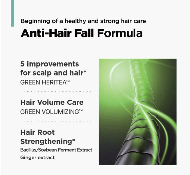 [AMOS] The Green Tea Moisturizing Pack (250ml) - Palace Beauty