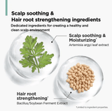 [AMOS] The Green Tea Moisturizing Pack (250ml) - Palace Beauty