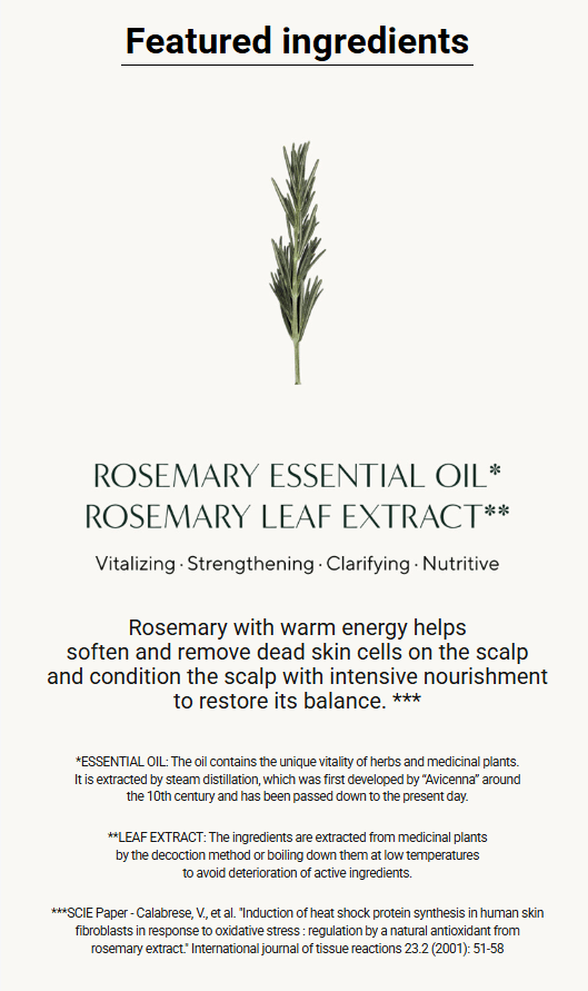 [AROMATICA] Rosemary Scalp Scaling Shampoo 400ml - Palace Beauty