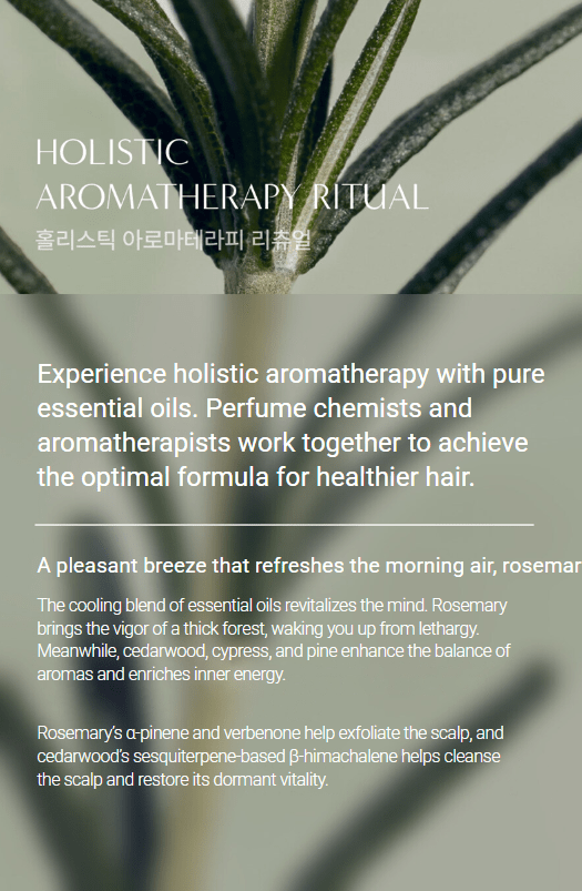 [AROMATICA] Rosemary Scalp Scaling Shampoo 400ml - Palace Beauty