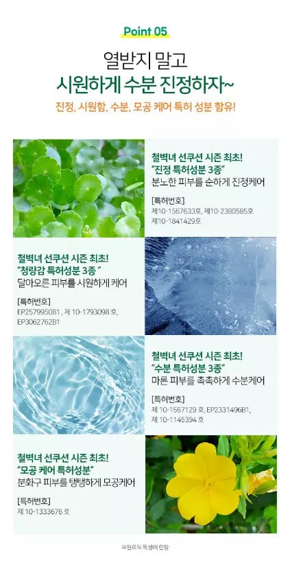 [BEAUTY PEOPLE] Centella Asiatica Glacial Water Family Sun Cushion SPF50+/PA++++ - Palace Beauty