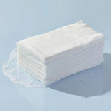 [Charmzone] Ginkgo Soothing & Cleansing Tissues 353g 70Sheets - Palace Beauty