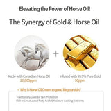 [Charmzone] Mayu Horse Oil Gold Complex Ampoule 100ml/3.38fl.oz - Palace Beauty