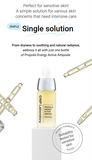CNP Propolis Energy Active Ampule 15mL - Palace Beauty