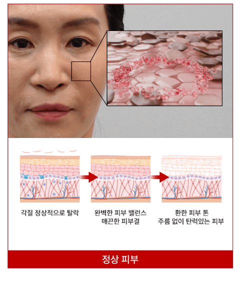 [DIFFER&DEEPER] Red Exsome Skin Booster Ampoule (2mlX14pcs) - Palace Beauty