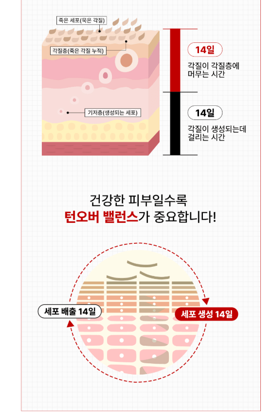 [DIFFER&DEEPER] Red Exsome Skin Booster Ampoule (2mlX14pcs) - Palace Beauty