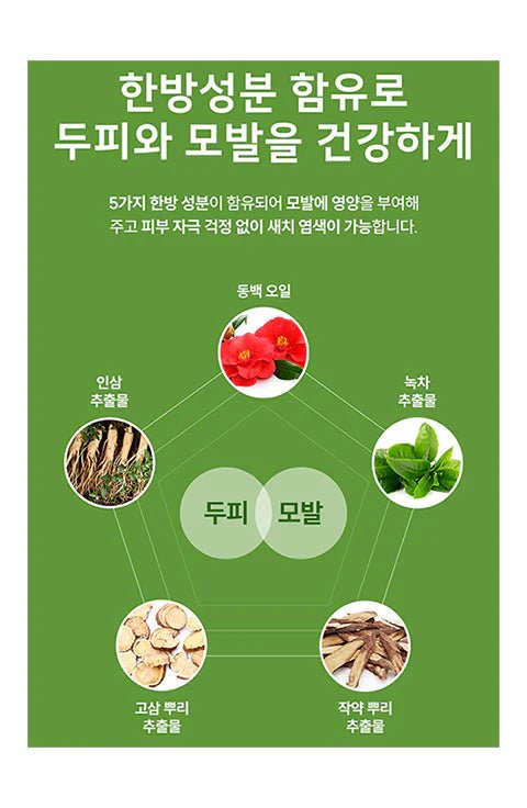 [Dongsung] Herb Color Cream (3 colors) - Palace Beauty