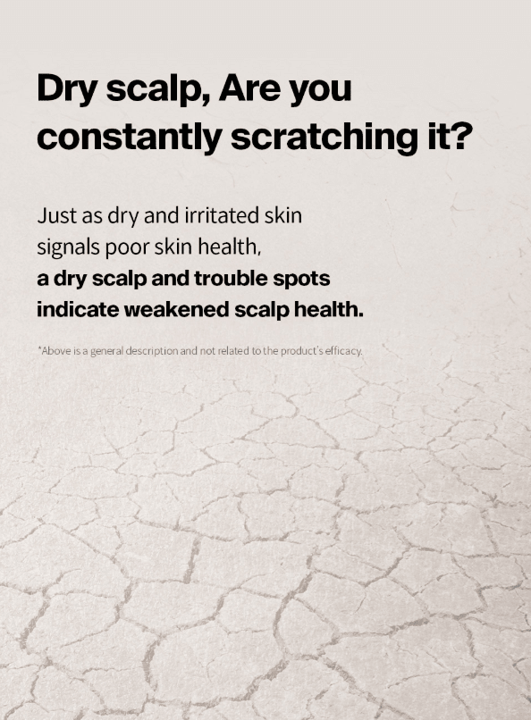 [Dr.FORHAIR] Phyto Therapy Shampoo (500ml) - Palace Beauty