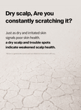 [Dr.FORHAIR] Phyto Therapy Shampoo (500ml) - Palace Beauty