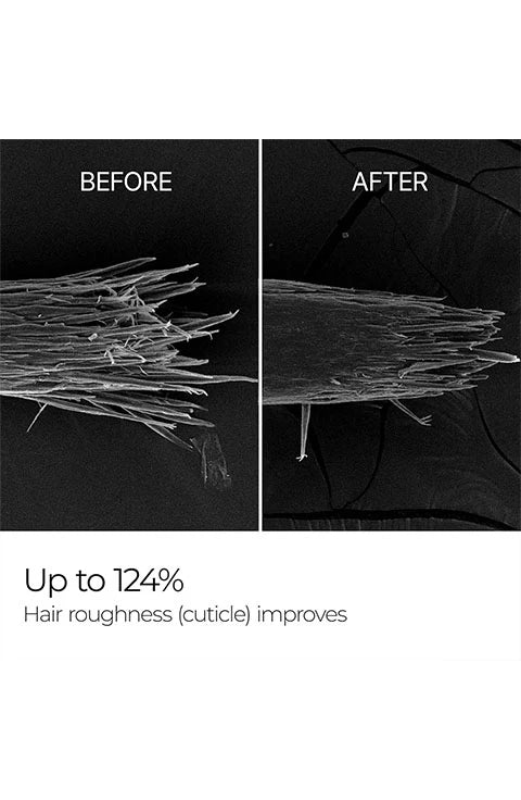 [Dr.Melaxin] Bondex Protein Bonding Remodeling Conditioner(250Ml/8.45fl.oz) - Palace Beauty