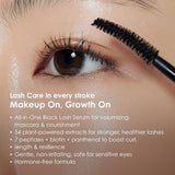 [EPAIS] Epais Eyelash Black Serum (15ml) - Palace Beauty