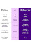 [EQQUALBERRY] Bakuchiol Plumping Serum (30ml/1.01fl.oz) - Palace Beauty
