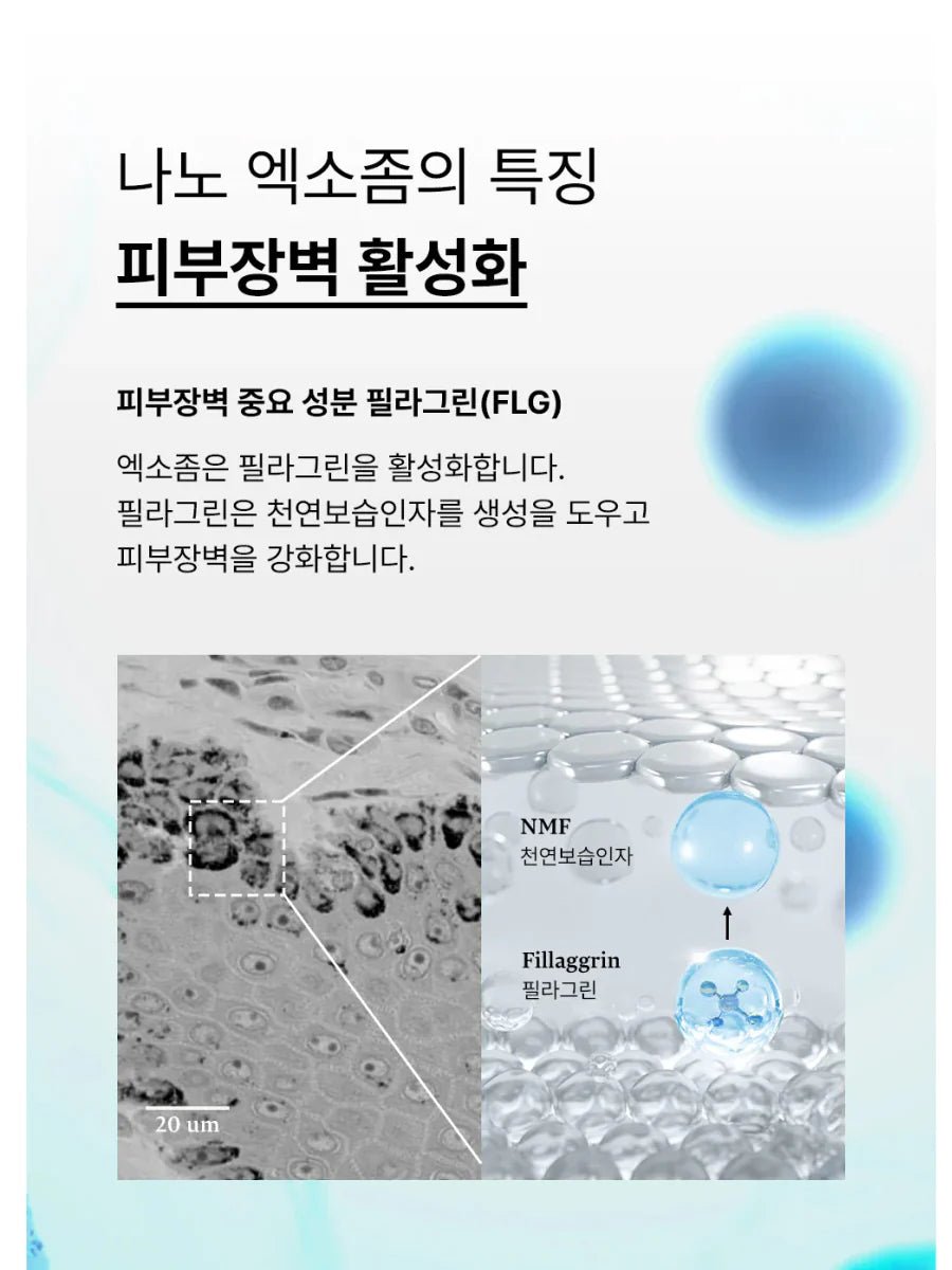 [EXOPROXYL] CICA EXOSOmethod™ Ampoule (30ml/1.01oz) - Palace Beauty