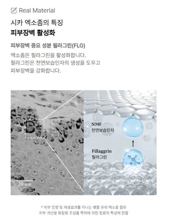 [EXOPROXYL] CICA EXOSOmethod™ Ampoule (30ml/1.01oz) + CICA Minesome Centella Asiatica Mist (100ml) Bundle (online exclusive) - Palace Beauty