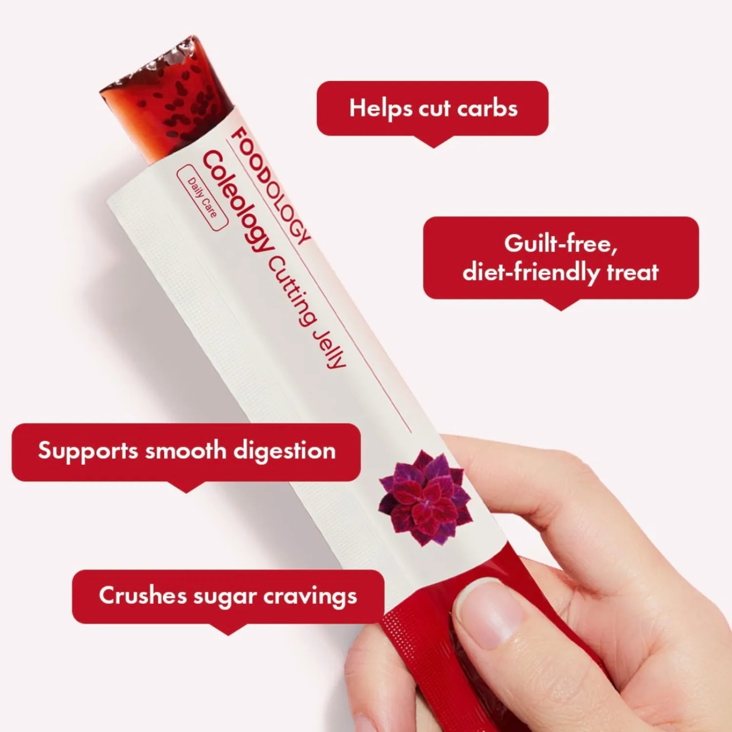 [FOODOLOGY] Coleology Cutting Jelly 1box(10sticks) - Palace Beauty