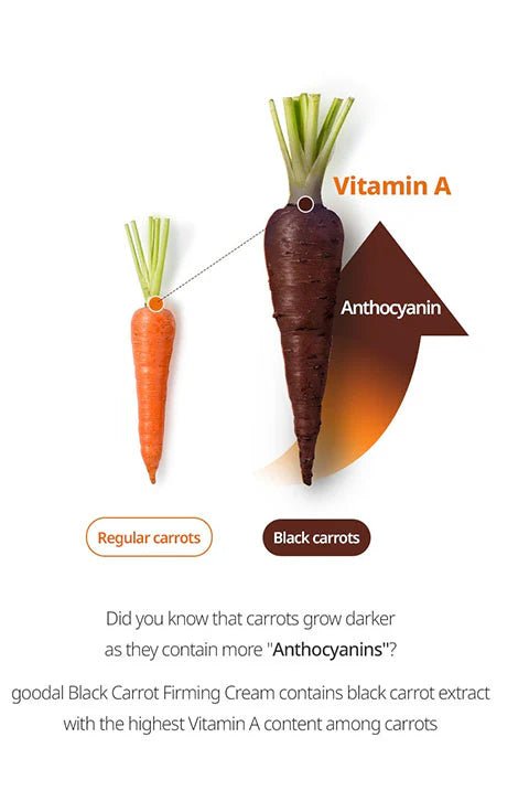 [Goodal] Black Carrot Vita - A Retinol Firming Ampoule (30mL) - Palace Beauty