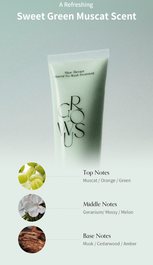 [GROWUS] Algae Therapy Mineral No Wash Treatment 150ml - Palace Beauty