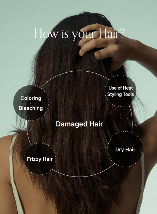 [GROWUS] Algae Therapy Mineral No Wash Treatment 150ml - Palace Beauty