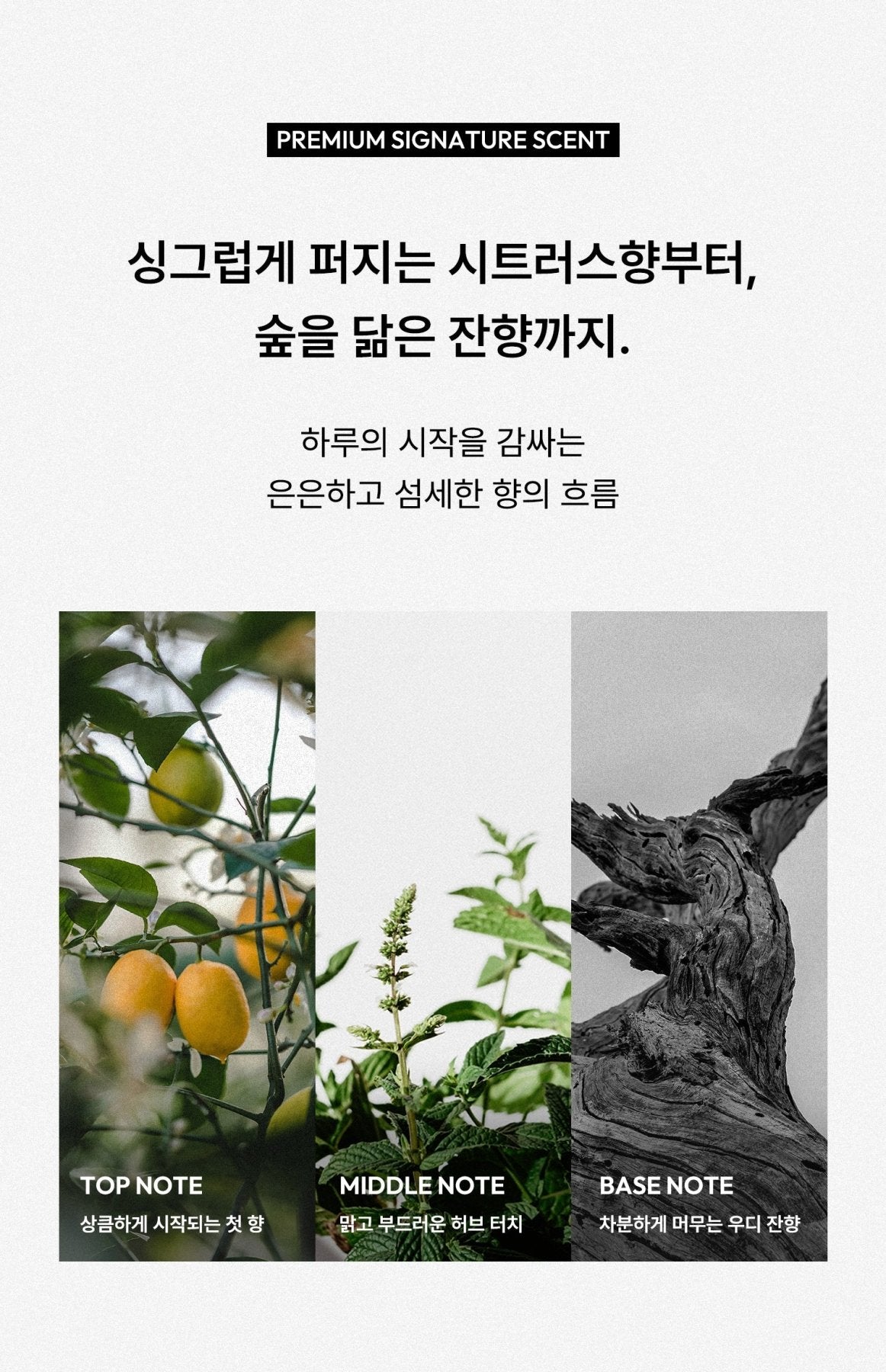 [HealGrids] Toning Dedorant Niacinamide 4% - Palace Beauty