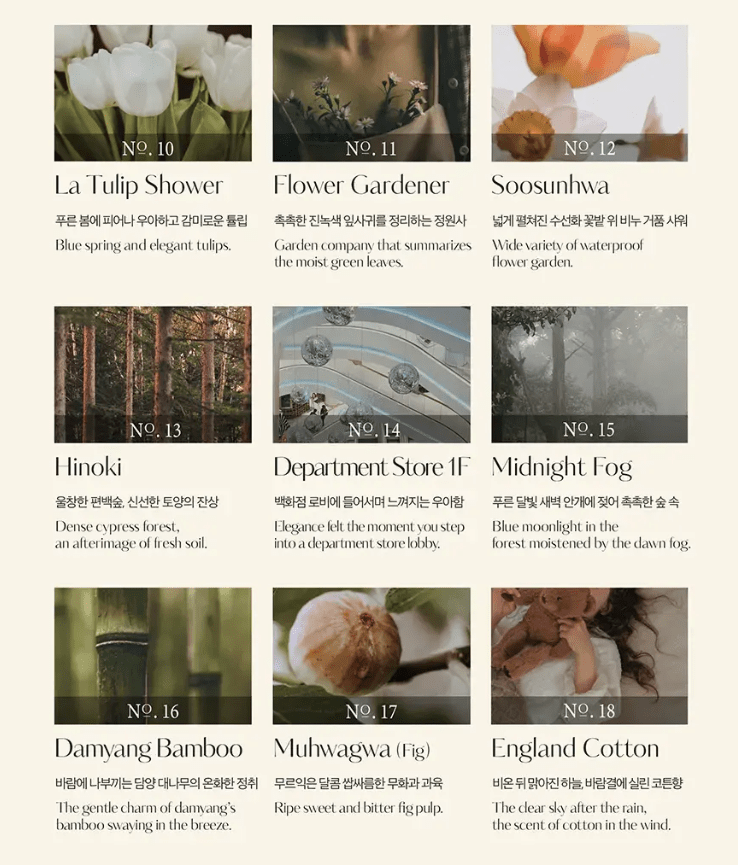 [hetras] Perfumed Bubble Hand Wash Flower Park (515mlX2) - Palace Beauty