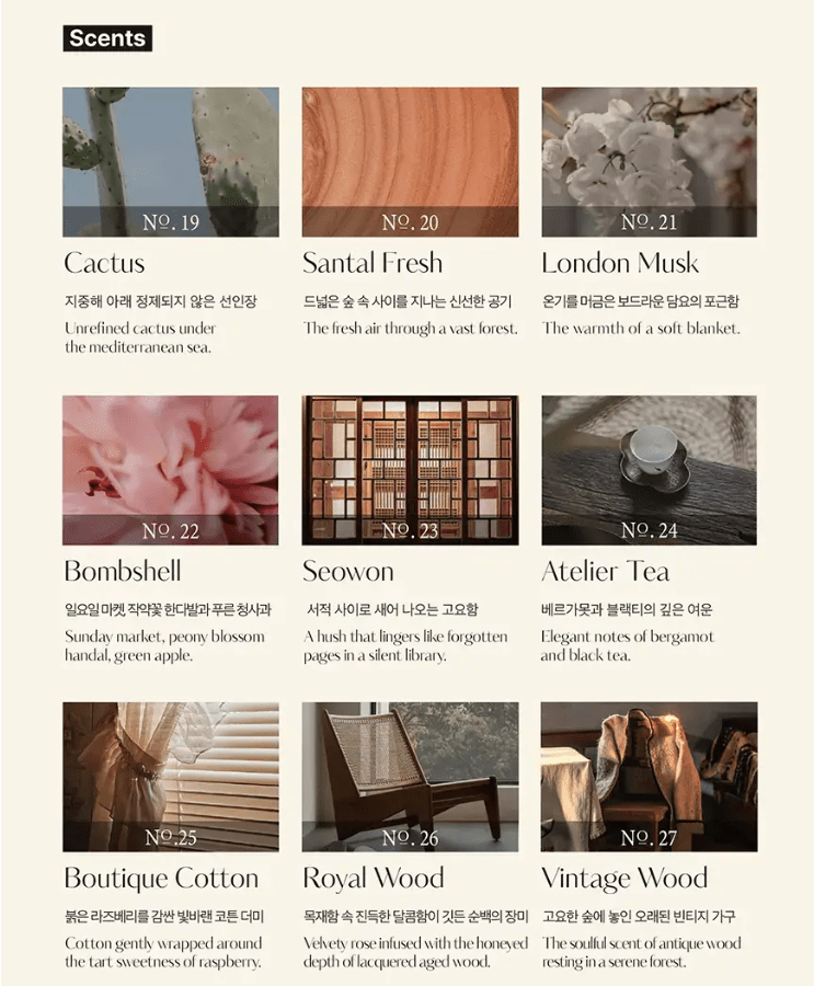 [hetras] Perfumed Bubble Hand Wash Flower Park (515mlX2) - Palace Beauty