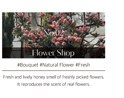 [hetras] Premium Diffuser - Flower shop (500ml*2ea) - Palace Beauty