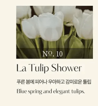 [hetras] Premium Diffuser - La Tulip Shower (500ml*2ea) - Palace Beauty