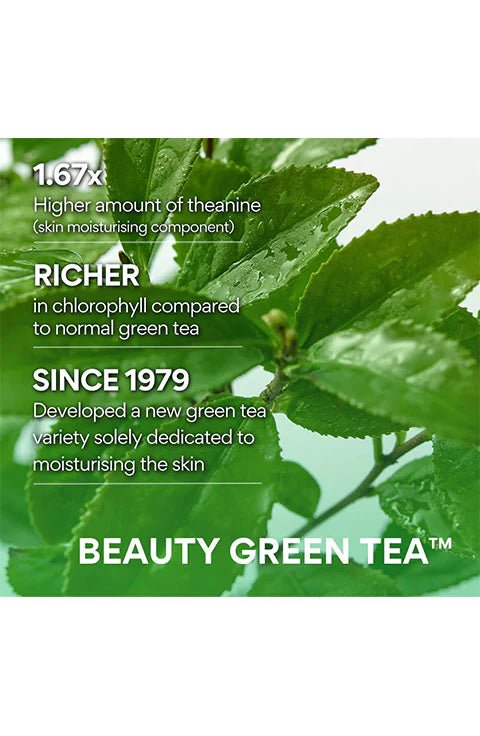 [INNISFREE] Green Tea Hyaluronic Skin (170ml) - Palace Beauty