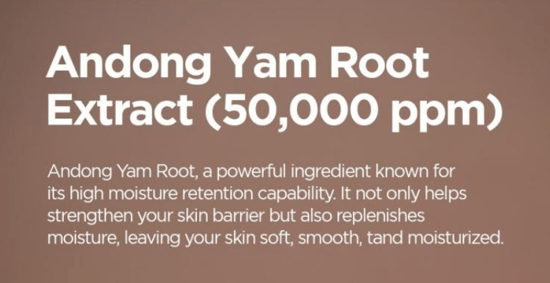 [Isntree] Yam Root Milk Tone Up Sun Cream SPF50+ Broad Spectrum 50ml OTC(US FDA STANDARD) - Palace Beauty