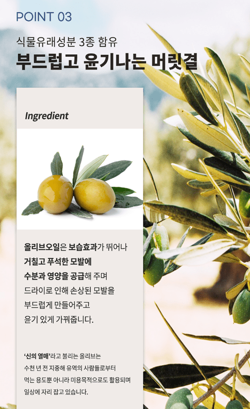 [JC PINETREE] Perfume Shampoo 500ml (La Tulipe) - Palace Beauty