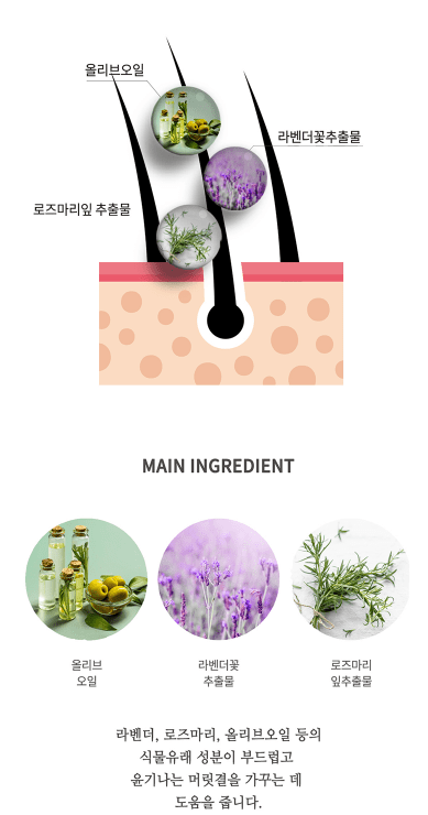 [JC PINETREE] Perfume Shampoo 500ml (La Tulipe) - Palace Beauty
