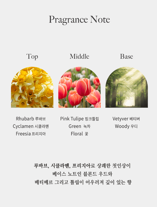 [JC PINETREE] Perfume Shampoo 500ml (La Tulipe) - Palace Beauty