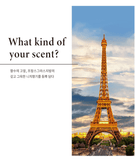 [JC PINETREE] Perfume Shampoo 500ml (La Tulipe) - Palace Beauty