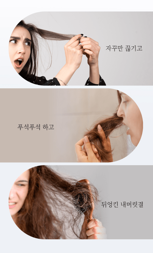 [JC PINETREE] Treatment 160ml (La Tulipe) - Palace Beauty