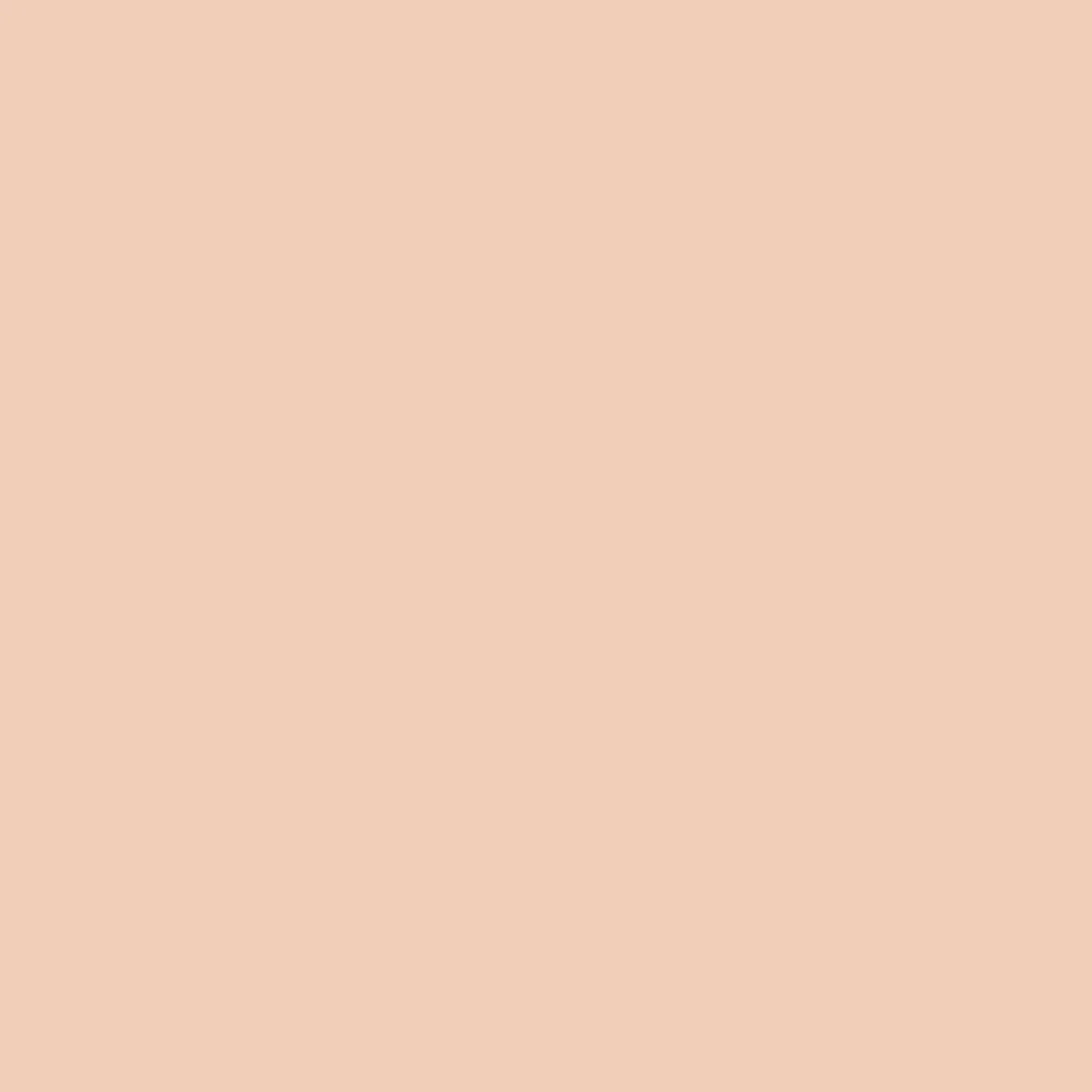 [JUNGSAEMMOOL] Skin Nuder Concealer 6g - Palace Beauty