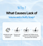 [KUNDAL] Airy Volume Hyaluron Hair Set (Shampoo+Treatment 300ml) Blossom Breeze - Palace Beauty