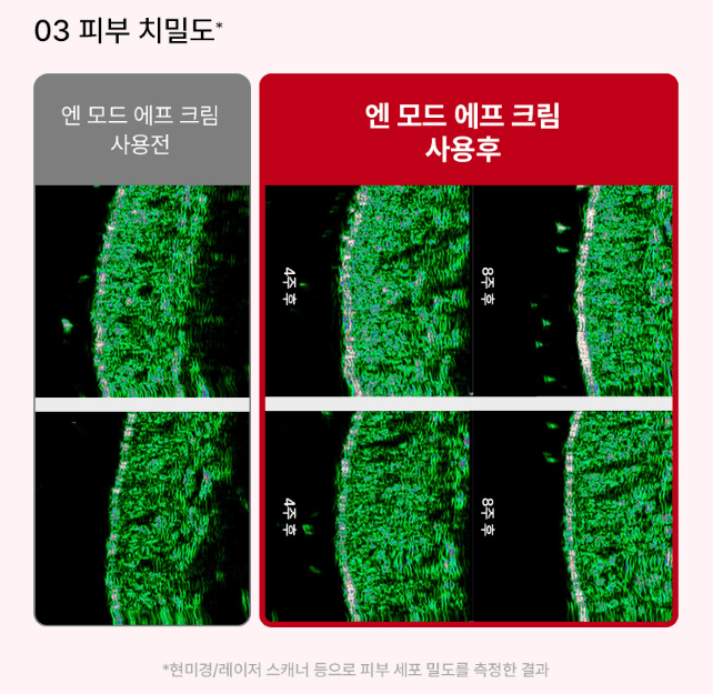 Nmode F V Fat Care Cream (50ml) - Palace Beauty