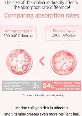 [odiD] Milkprotein LPP Hair Treatment - Palace Beauty