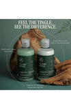 [Paul Mitchell] Tea Tree Special (shampoo,conditioner) - Palace Beauty