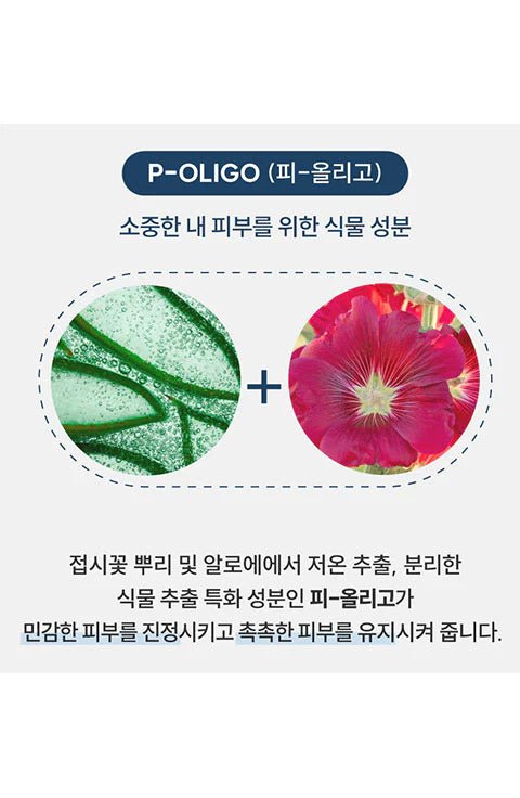 [Reboncel] Aqua Rich Soft Lotion (200ml/6.76fl.oz) - Palace Beauty