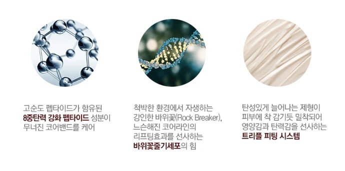 [RE:NK] Cell Pepalift Core Cream & Ampoule Set (50ml&16ml*4ea) - Palace Beauty