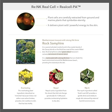 [Re:NK] Cell to Cell Cream (50ML) - Palace Beauty