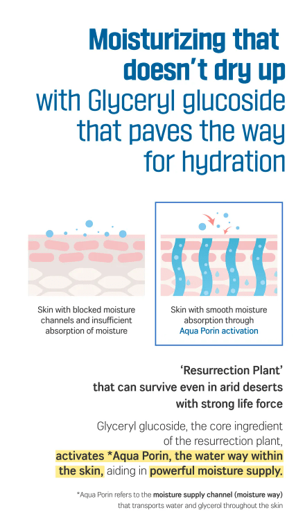 [ROUND LAB] Birch Juice Hand Cream 30ml - Palace Beauty