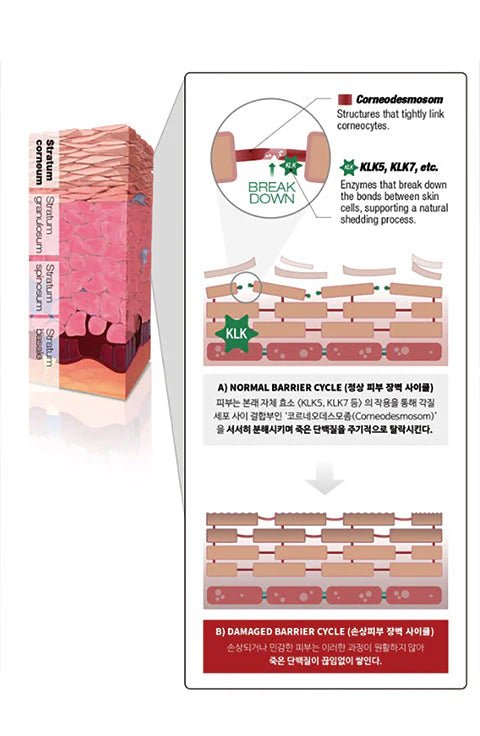 [Silisca] UNLTRA - MICRO POWDER, ENZME EXFOLIANT (75g/2.64fl.oz) - Palace Beauty