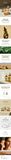 Skin1004 Madagascar Centella Ampoule 55ml - Palace Beauty